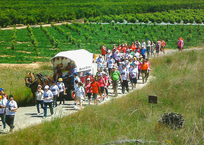 Pelegrins recorrent la Ruta Bernardina